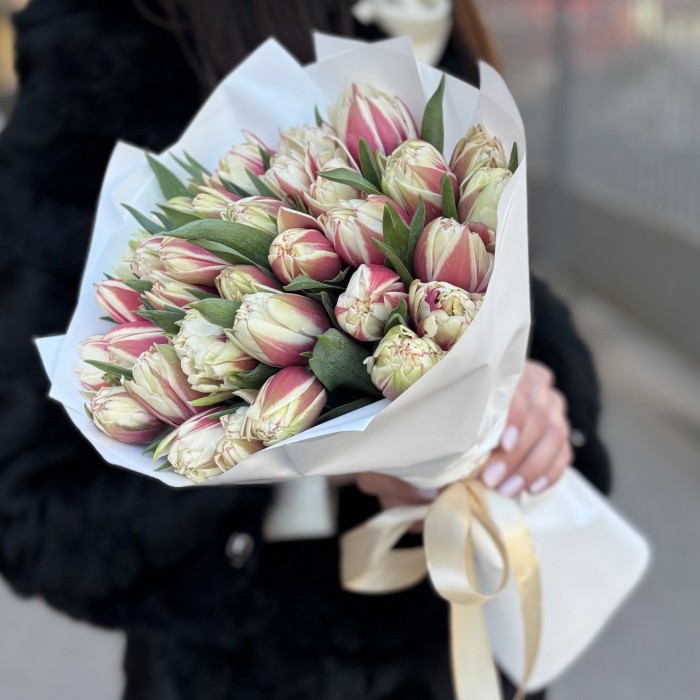 35 пионовидных тюльпанов Вермонт