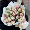 35 пионовидных тюльпанов Вермонт