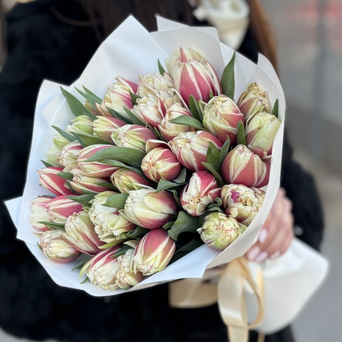 35 пионовидных тюльпанов Вермонт