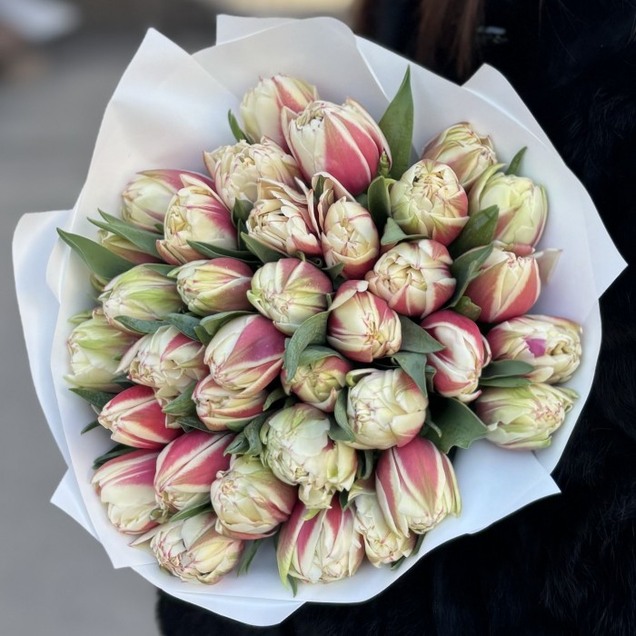 35 пионовидных тюльпанов Вермонт