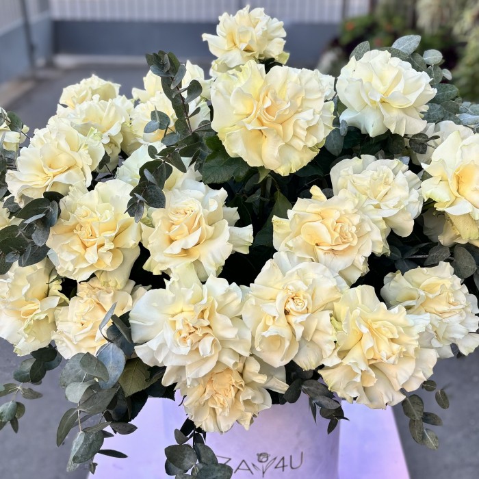 35 пышных белых роз Мондиаль с эвкалиптом в коробке