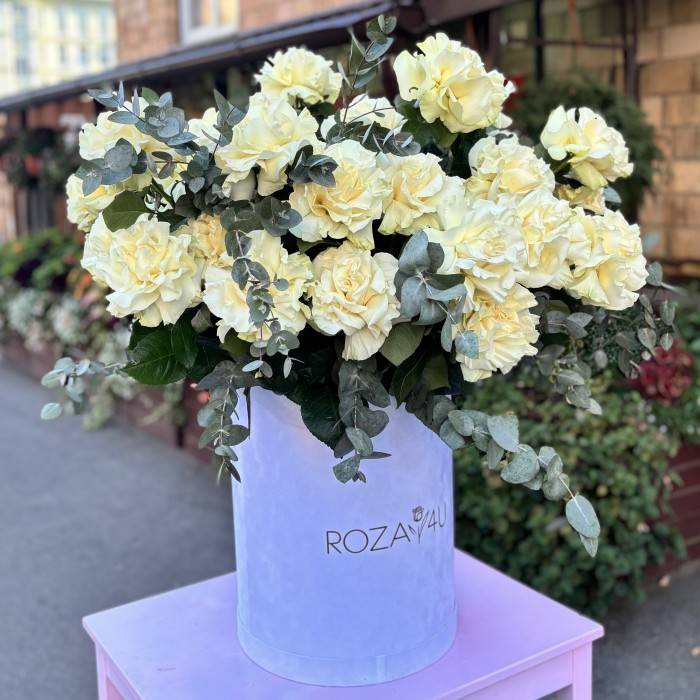 35 пышных белых роз Мондиаль с эвкалиптом в коробке