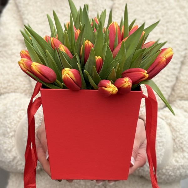 35 тюльпанов Денмарк в коробке