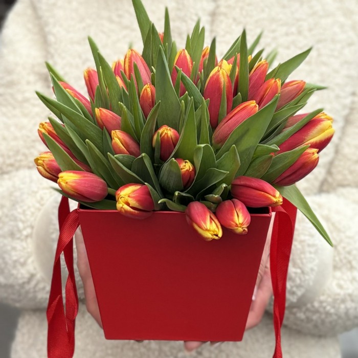 35 тюльпанов Денмарк в коробке