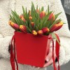 35 тюльпанов Денмарк в коробке