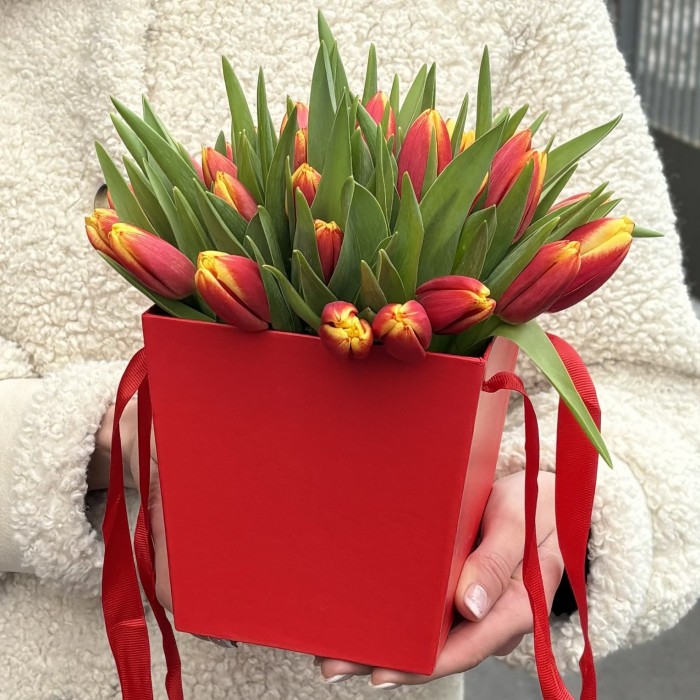 35 тюльпанов Денмарк в коробке