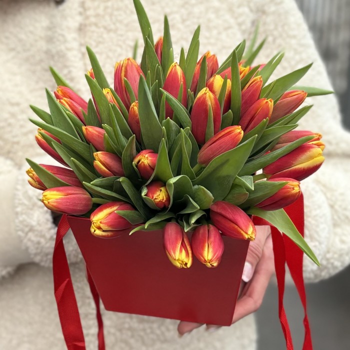 35 тюльпанов Денмарк в коробке