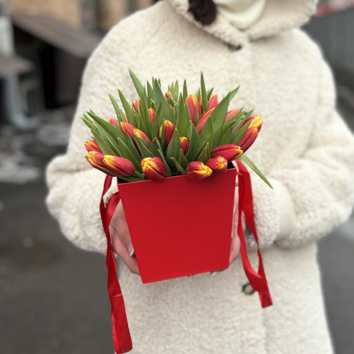 35 тюльпанов Денмарк в коробке