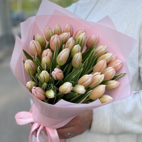 35 тюльпанов Марк Дизайн