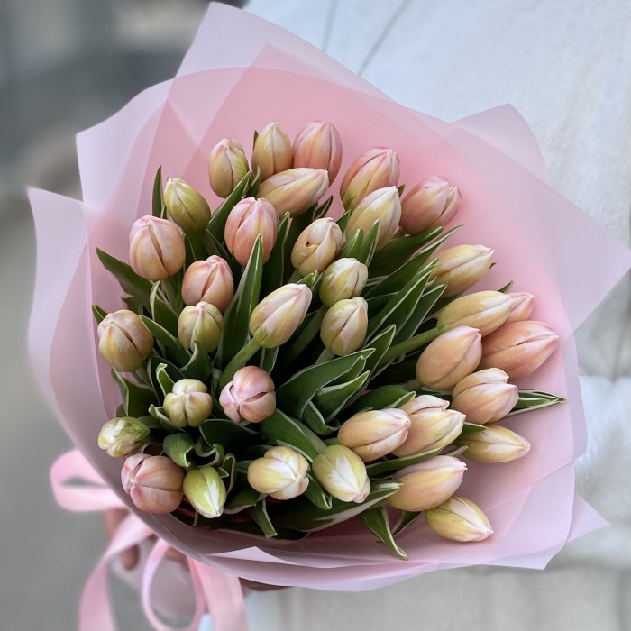 35 тюльпанов Марк Дизайн