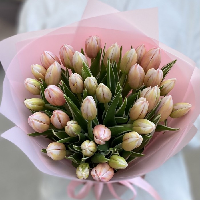 35 тюльпанов Марк Дизайн