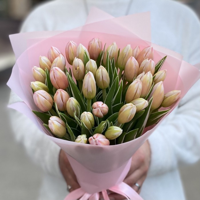 35 тюльпанов Марк Дизайн