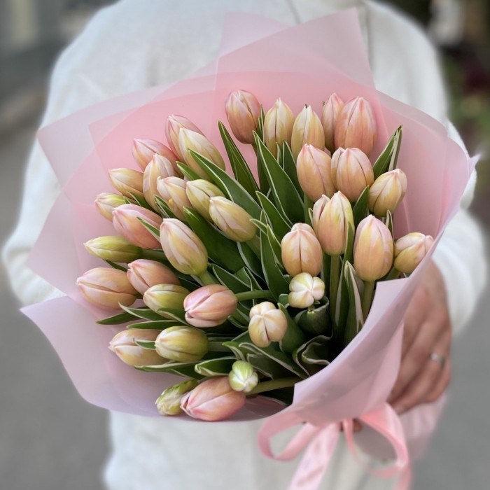 35 тюльпанов Марк Дизайн