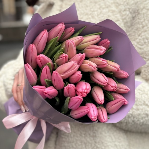 35 тюльпанов Трезор в упаковке