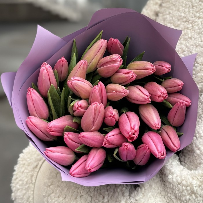 35 тюльпанов Трезор в упаковке
