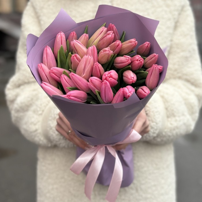 35 тюльпанов Трезор в упаковке