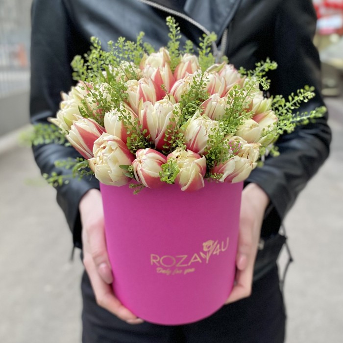 35 красно-белых тюльпанов Вермонт с гринбеллом в коробке