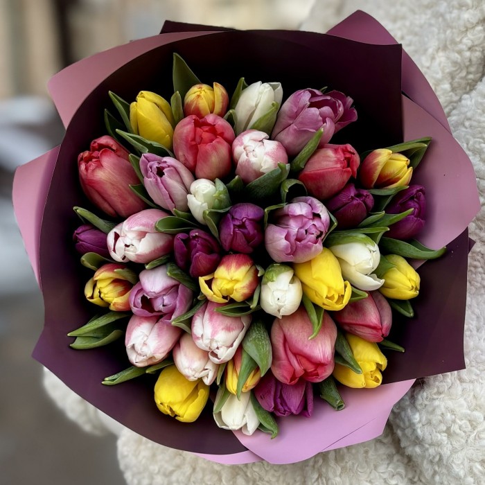 35 тюльпанов микс в упаковке