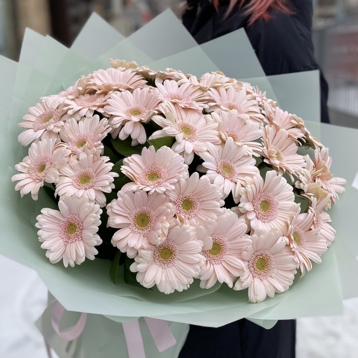 37 нежно-розовых гербер