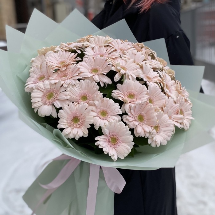 37 нежно-розовых гербер