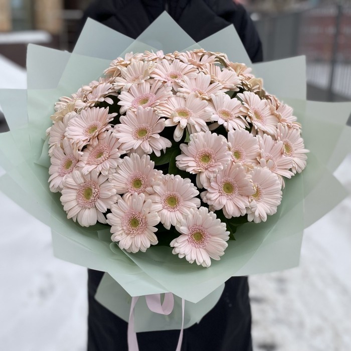 37 нежно-розовых гербер