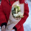 3 белые фрезии