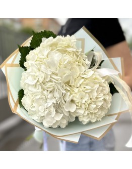 3 белые гортензии