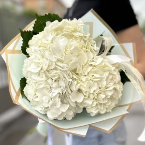 3 белые гортензии