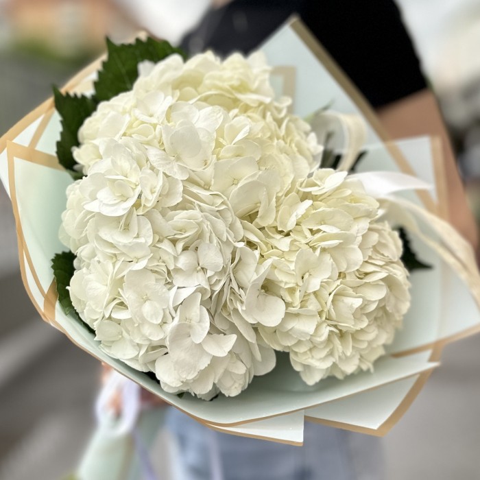 3 белые гортензии