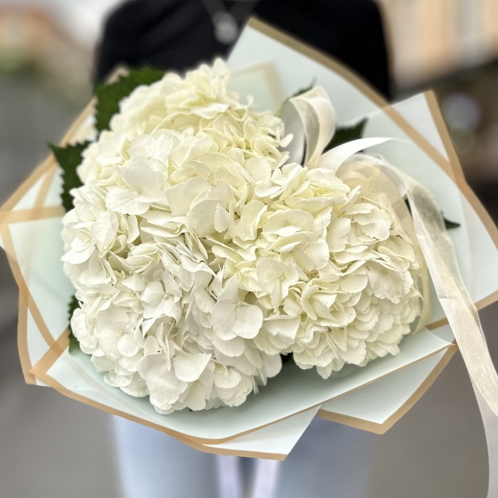 3 белые гортензии