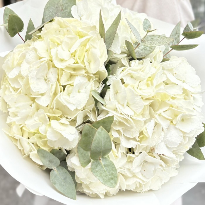 3 белые гортензии с эвкалиптом