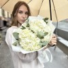 3 белые гортензии с эвкалиптом