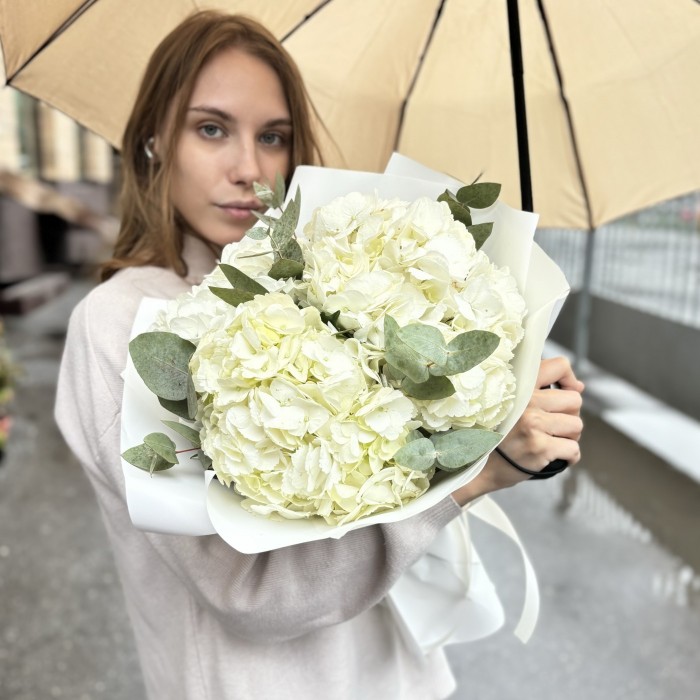 3 белые гортензии с эвкалиптом