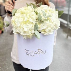 3 белые гортензии с эвкалиптом в коробке