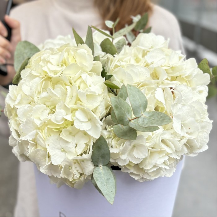 3 белые гортензии с эвкалиптом в коробке