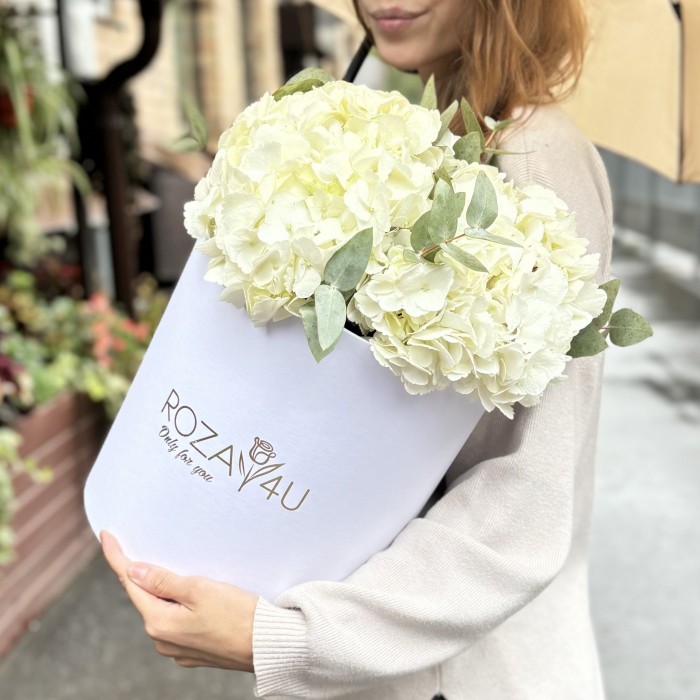 3 белые гортензии с эвкалиптом в коробке