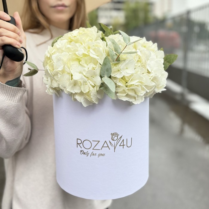 3 белые гортензии с эвкалиптом в коробке
