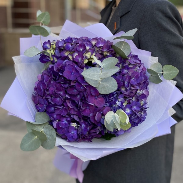 3 фиолетовые гортензии с эвкалиптом