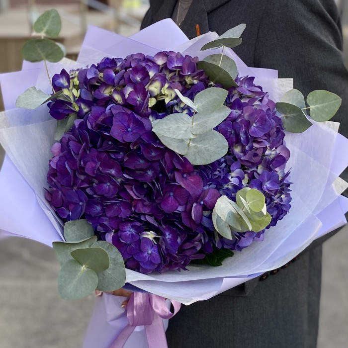 3 фиолетовые гортензии с эвкалиптом