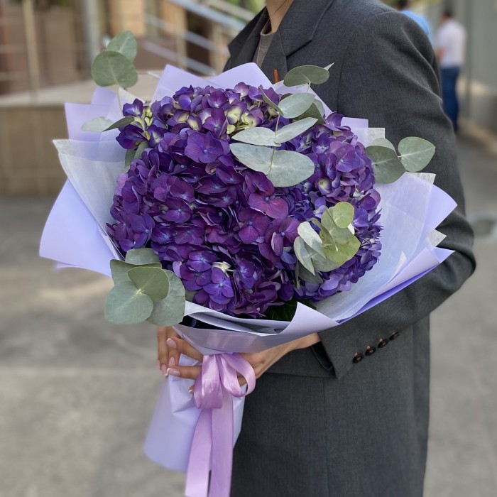 3 фиолетовые гортензии с эвкалиптом