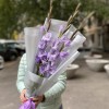 3 фиолетовых гладиолуса