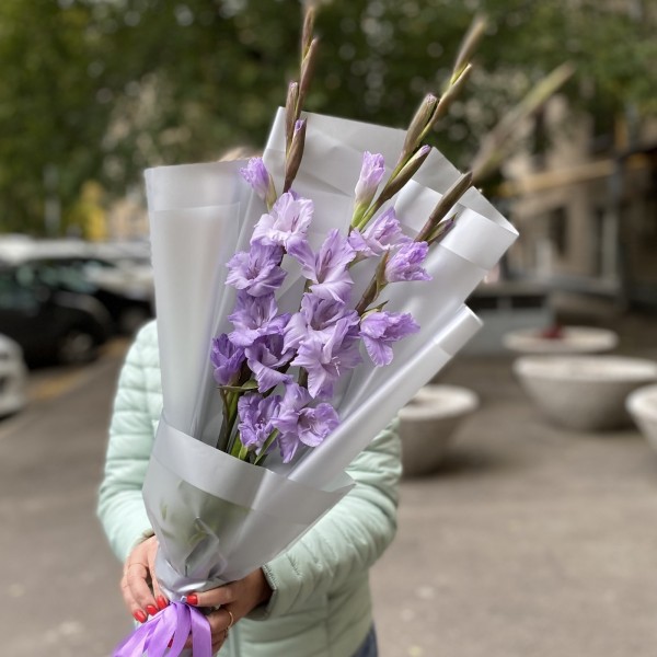 3 фиолетовых гладиолуса