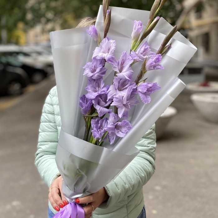 3 фиолетовых гладиолуса