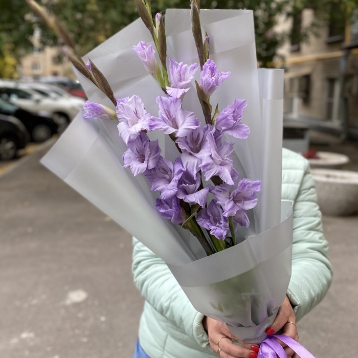 3 фиолетовых гладиолуса