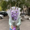 3 фиолетовых гладиолуса