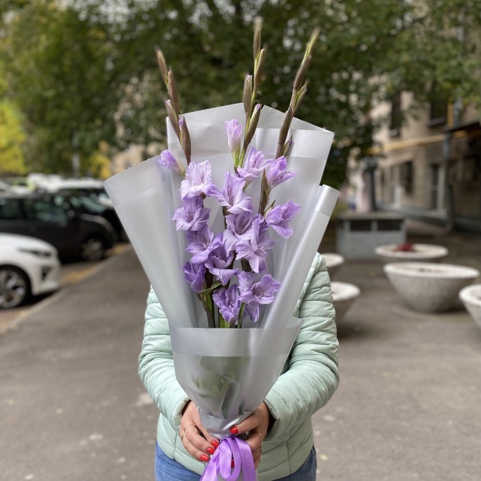 3 фиолетовых гладиолуса