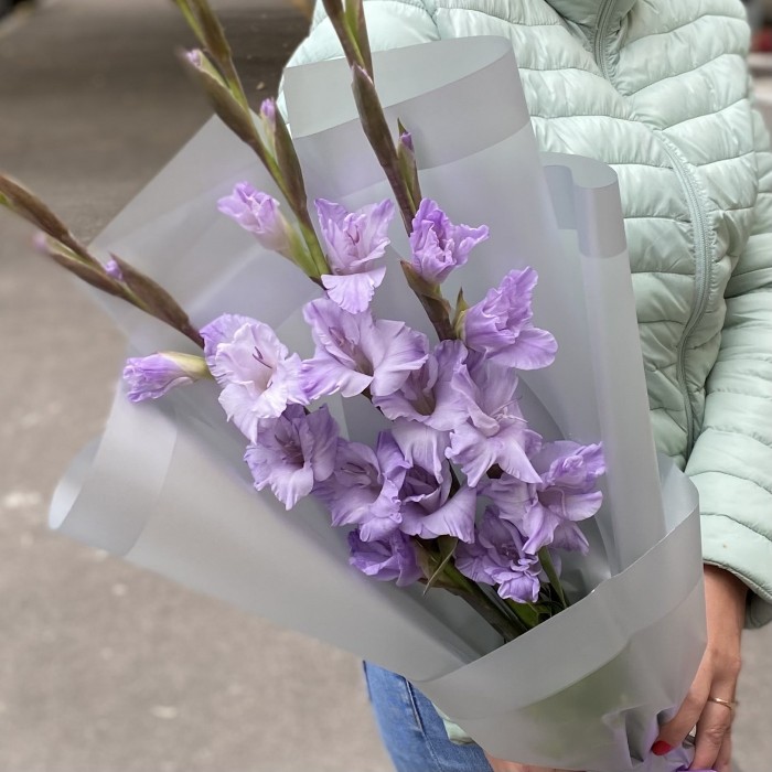 3 фиолетовых гладиолуса