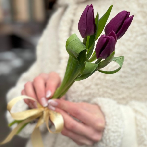 3 фиолетовых тюльпана