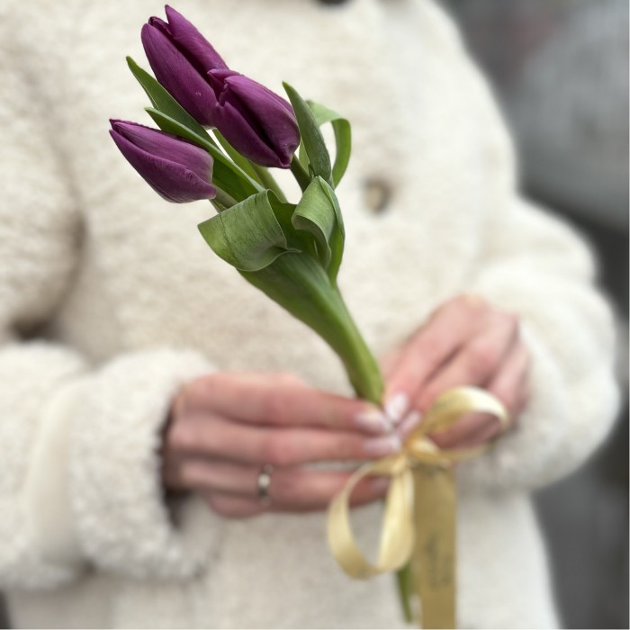 3 фиолетовых тюльпана