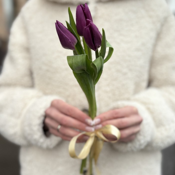 3 фиолетовых тюльпана